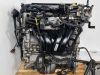 Двигатель б/у к Opel Signum Z22YH 2,2 Бензин контрактный, арт. 587OP