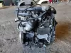 Контрактный двигатель б/у на Opel Astra G Y17DT 1.7 Дизель, арт. 3397880