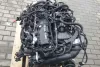 Двигатель б/у к BMW X5 (G05) B58B30 C 3.0 Бензин контрактный, арт. 699BW