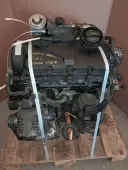 Двигатель б/у к Seat Leon (2005 - 2012) BKC, BLS, BXE 1,9 Дизель контрактный, арт. 164SE